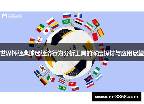世界杯经典球迷经济行为分析工具的深度探讨与应用展望