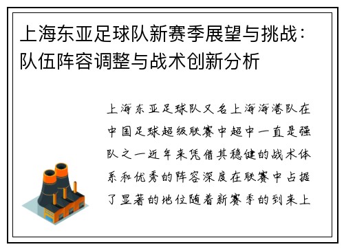 上海东亚足球队新赛季展望与挑战：队伍阵容调整与战术创新分析