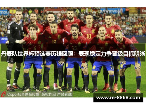 丹麦队世界杯预选赛历程回顾：表现稳定力争晋级目标明晰