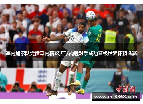 塞内加尔队凭借马内精彩进球战胜对手成功晋级世界杯预选赛