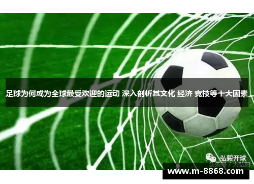 足球为何成为全球最受欢迎的运动 深入剖析其文化 经济 竞技等十大因素