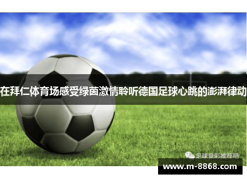 在拜仁体育场感受绿茵激情聆听德国足球心跳的澎湃律动