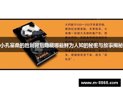 小孔塞桑的胜利背后隐藏哪些鲜为人知的秘密与故事揭秘