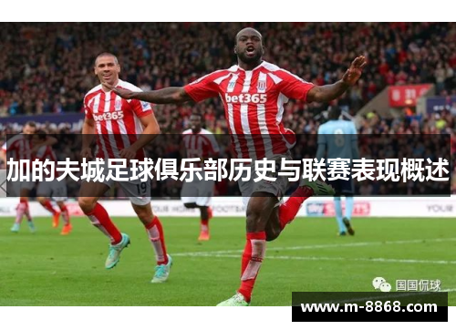 加的夫城足球俱乐部历史与联赛表现概述